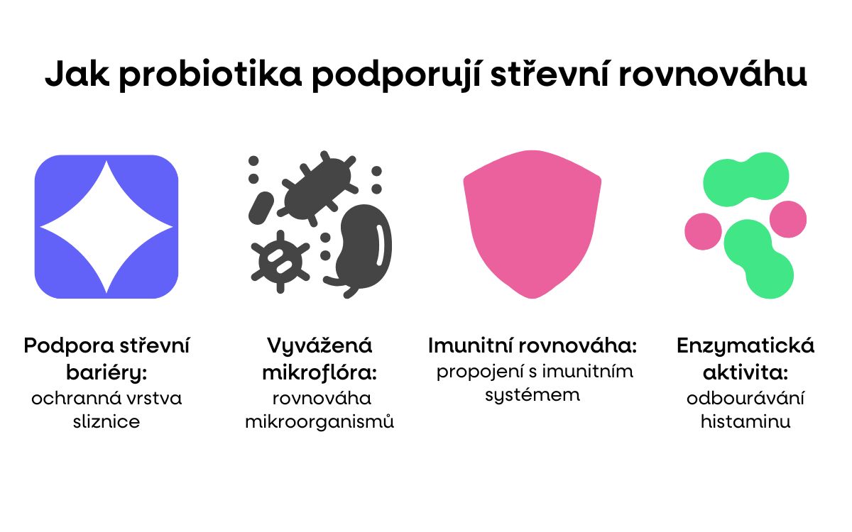 probiotika podpora histamin